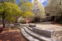 Western New England University